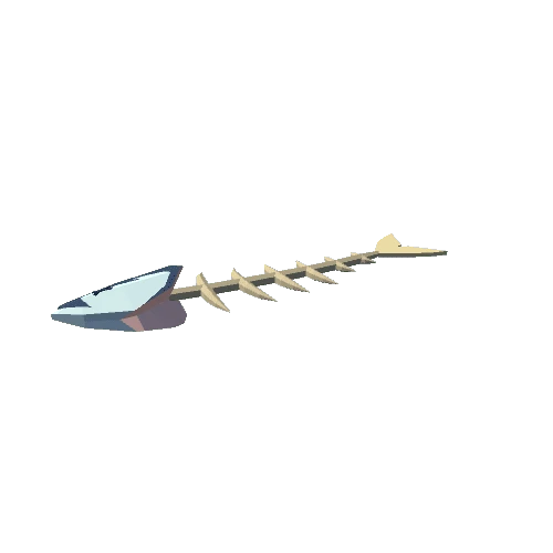 Herring fish skeleton